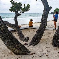 На берегу океана. :: Алексей Окунеев