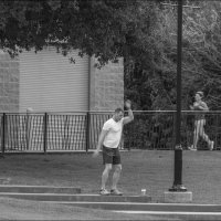 Утро (1) :: **** vedin