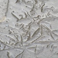 вариации на тему : мятая лужа :: Елена Шаламова