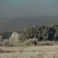 Морозное утро. :: nadyasilyuk Вознюк