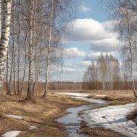 Пробуждение ... :: Ravile