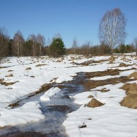 Март в долине Протвы :: Сергей Курников