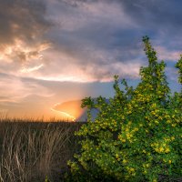 Вечерняя тишина :: Наталья Димова