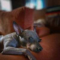 Когда в душе ты модель :: Григорий Иванов Когда в душе ты модель :: Григорий Иванов