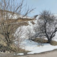 Ак Булак. Талгар. :: Murat Bukaev 