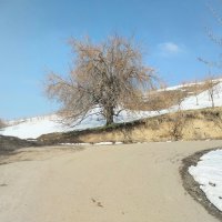 Ак Булак.  Талгар. :: Murat Bukaev 