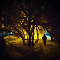 Чистый, белый снег :: Александр Лебедев