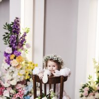 весна :: Olga весна :: Olga