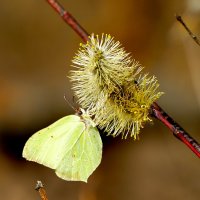 из снятого сегодня 2 :: Александр Прокудин