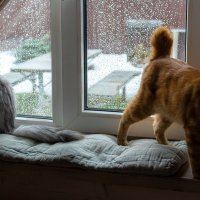 " - Мяу, я обиделась" )) :: Анастасия Белякова