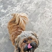 Хочу вкусненького! :: Валентина  Нефёдова 