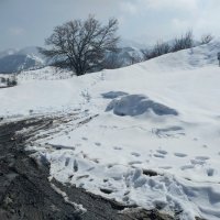 Ак Булак. :: Murat Bukaev 