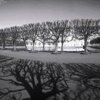 *** :: Сергей Григорьев