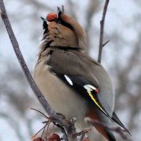 Вкусно :: Галина Козлова 