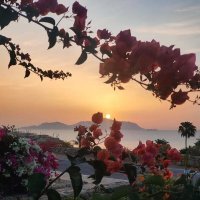 Египет. Медленно солнце садилось :: Ирэн 