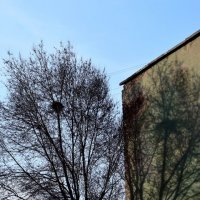 *** :: Павленко Михаил 