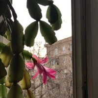 Прощание с зимой :: Татьяна Юрасова