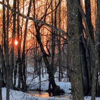 Закат в марте :: Елена 