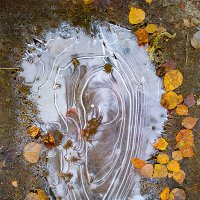 Октябрьская лужа :: Александр Лебедев