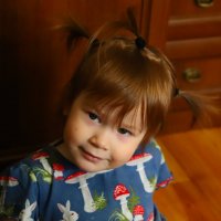 Полина :: краснов юрий 