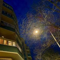 Вечерний светоч :: Любовь Вечерний светоч :: Любовь