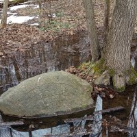 Неразгаданные еще письмена :: Андрей Лукьянов Неразгаданные еще письмена :: Андрей Лукьянов