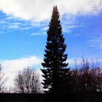 Красивый денёк :: Людмила Смородинская