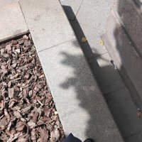 Тень :: Дмитрий Никитин Тень :: Дмитрий Никитин