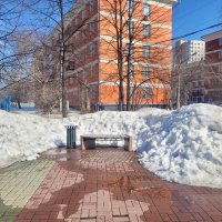 Весенние зарисовки :: Галина Нестратова