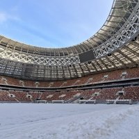 Лужники зимой :: ИРЭН@ .