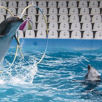 Учись пока я жив! :: Alexandеr P Учись пока я жив! :: Alexandеr P