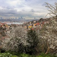 Кузгунджук :: skijumper Иванов