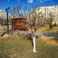 Беседка :: Анатолий Чикчирный