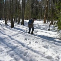 Дальше не пройти. :: ВикТор Быстров