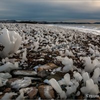 Обледенелые на берегу :: Студия фотографии