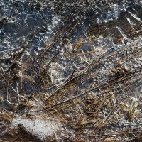 Весенний сюжет :: Сергей Курников Весенний сюжет :: Сергей Курников