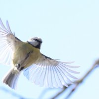 Лазаревка :: Елена Иванкина