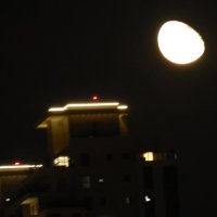 115 (235) :: CLOSE WAYS ALL