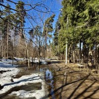 Мартовский денек. :: Любовь 
