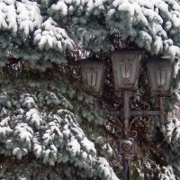 Фотозарисовки :: Роман Савоцкий