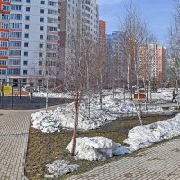 На аллее ещё снег :: Валерий Иванович На аллее ещё снег :: Валерий Иванович