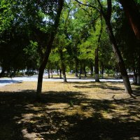 Керчь. Сквер Лётчиков летом. :: Пётр Чернега