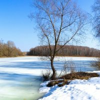 Весна в конце марта. :: Милешкин Владимир Алексеевич 