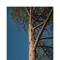 Несимметричная. :: Svyatoslav [Artisan] Ph.