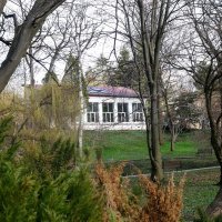 Март, ландшафтный парк, Калининград :: Рита Симонова Март, ландшафтный парк, Калининград :: Рита Симонова