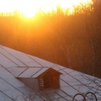 Серенада солнечной крыши :: олег свирский 