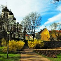 Весна на Тоомпеа :: Aida10 