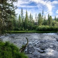 Утро на реке Бара :: Галина Козлова Утро на реке Бара :: Галина Козлова