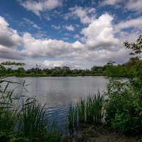 Облака над прудом... :: Николай Гирш