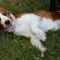 Вот что значит первый друг!!! :: liudmila drake